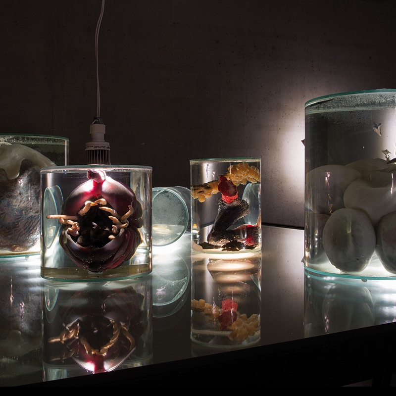 Diego Perathoner - "Multiversum" Silikon, Glas, Salzwasser 2014