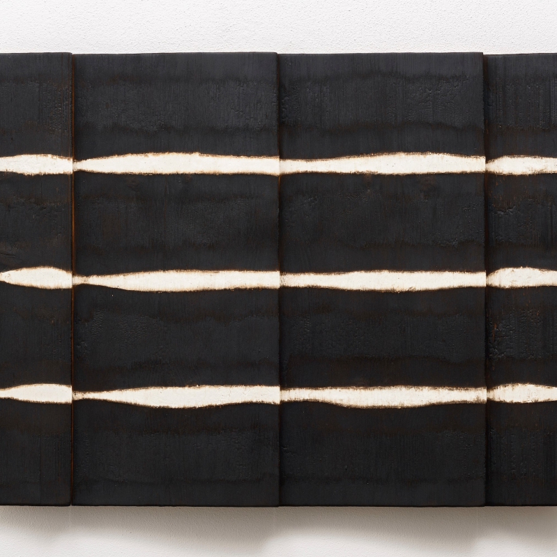  - Untitled_15_2015_burned_wood_plaster_55x77cm