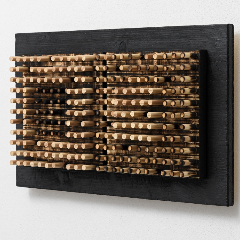 Flavio Senoner - Spots_Relief_46_2015_burned_wood_32x56x7,5cm_sideview