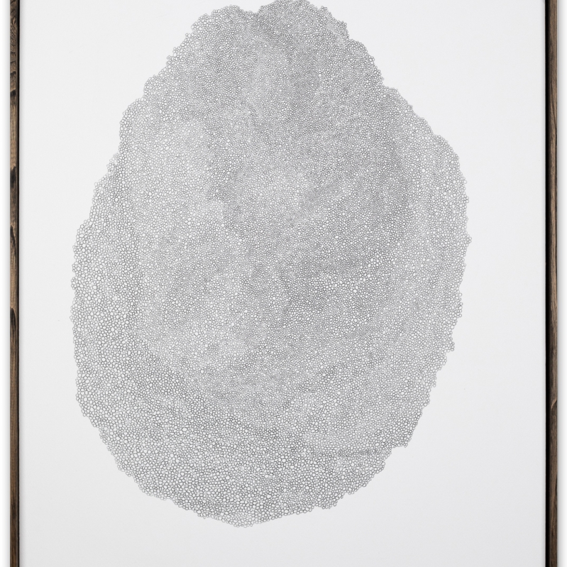 Mirijam Heiler - Mirijam Heiler_Natale II_2018 _pencil on paper_50x70 cm